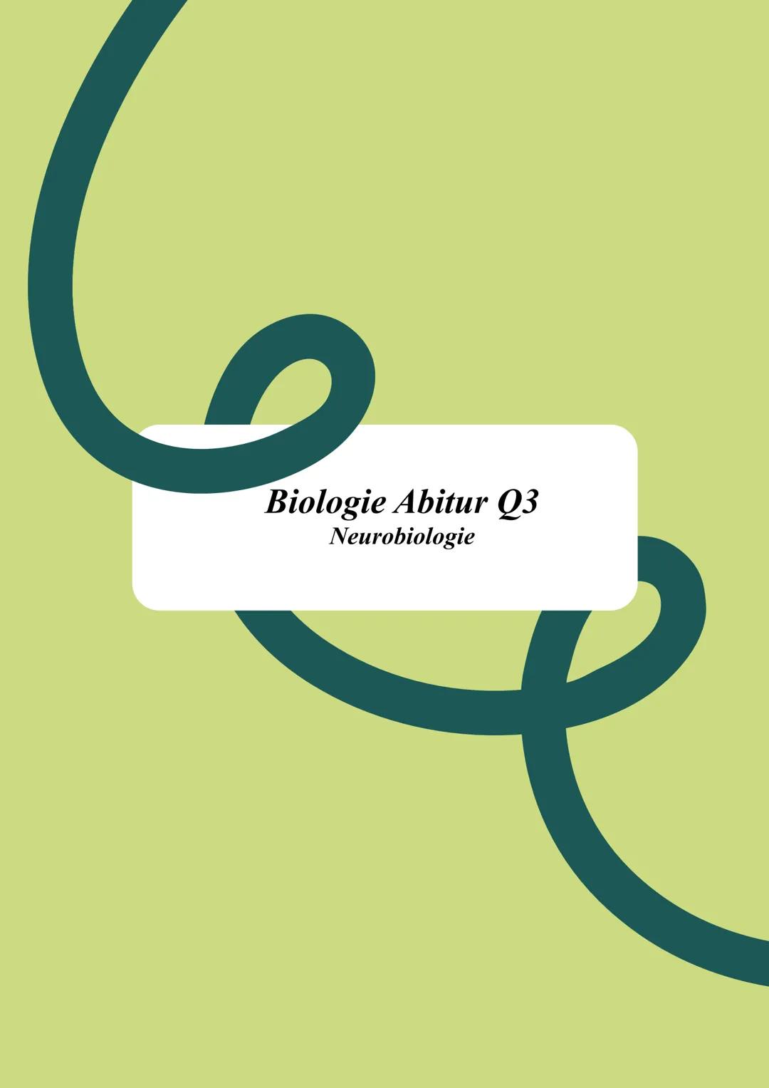# Biologie Abitur Q3
Neurobiologie --- OCR Start ---
NEUROBIOLOGIE - 
LERNZETTEL
Aufbau von Neuronen
Neuronales Netzwerk aus 2 zellen: (sens