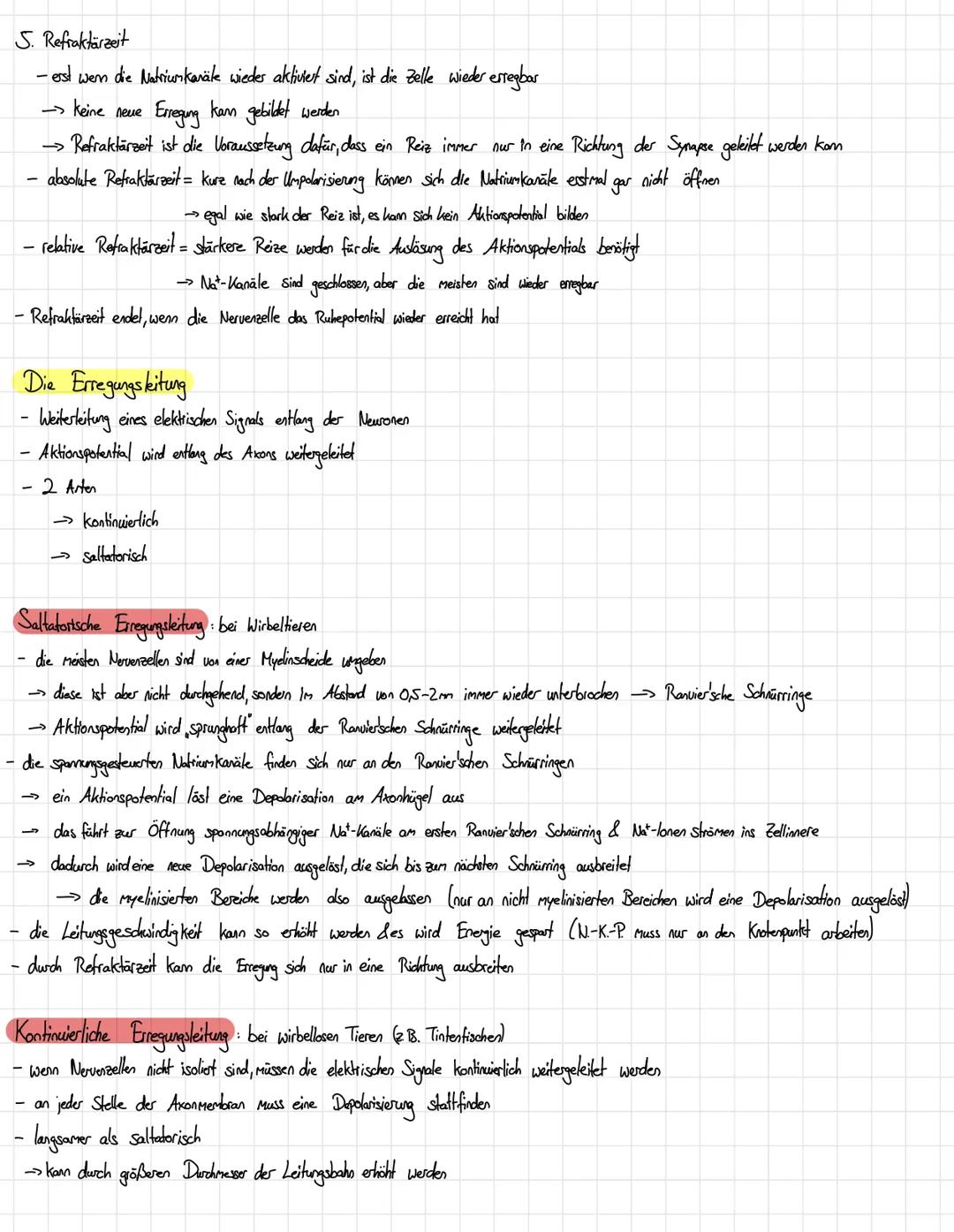 # Das Aktionspotential
- Nervenimpuls, des für die Weiterleitung von Reizen verantwortlich ist
- die Spannung an Zellmembran steigt im Verg
