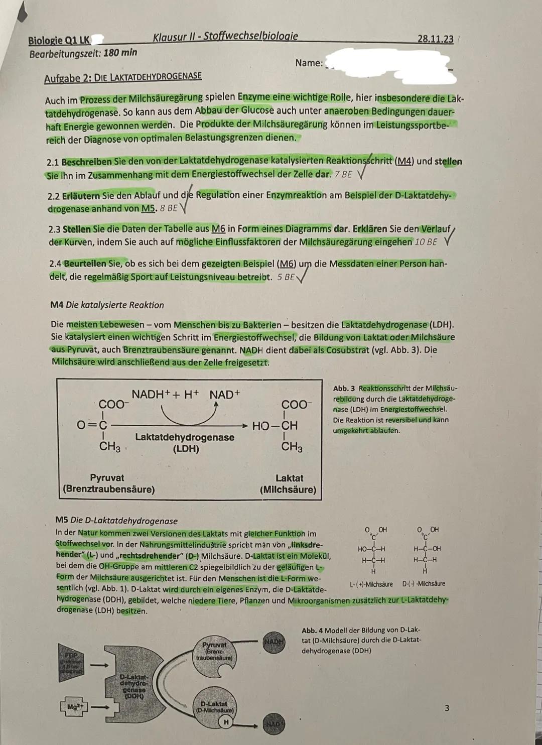 # Biologie Q1 LK
Klausur II - Stoffwechselbiologie
Bearbeitungszeit: 180 min
28.11.23
Name:
Hinweise:
- Nummerieren Sie die Seiten und schr