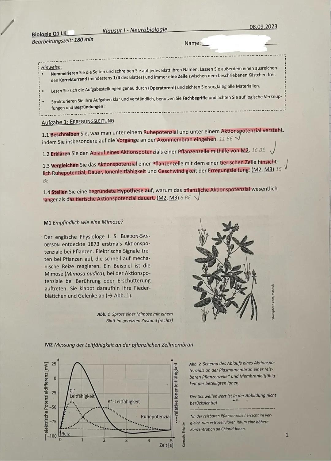 Neurobiologie LK Klausur