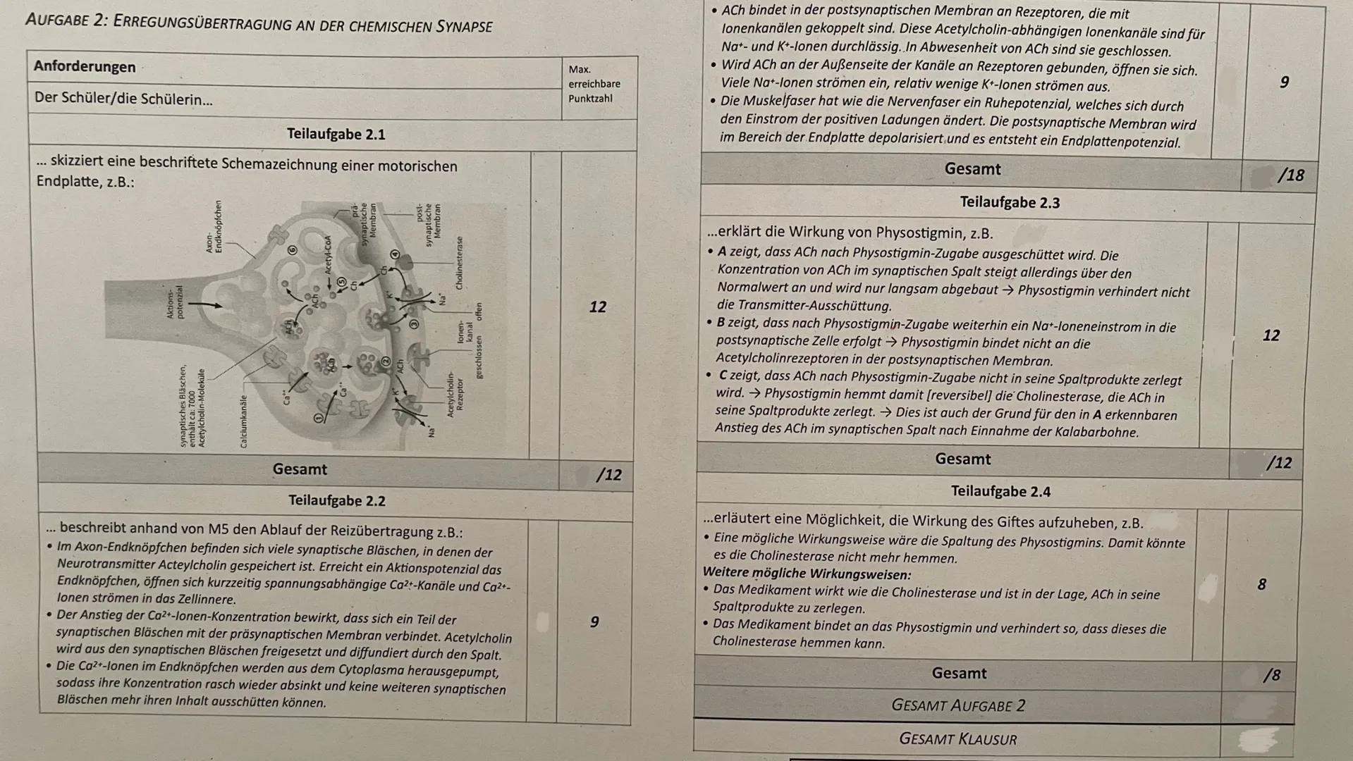 # Biologie Q1 LK Klausur 1 - Neurobiologie 08.09.2023
Bearbeitungszeit: 180 min