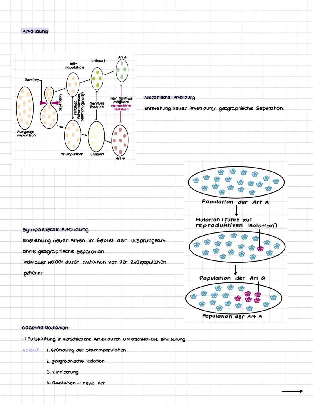 # EVOLUTION
Definition
Die Evolution ist in der Biologie die genetische und daraus resultierende phänotypische,
also sichtbare, Veränderun