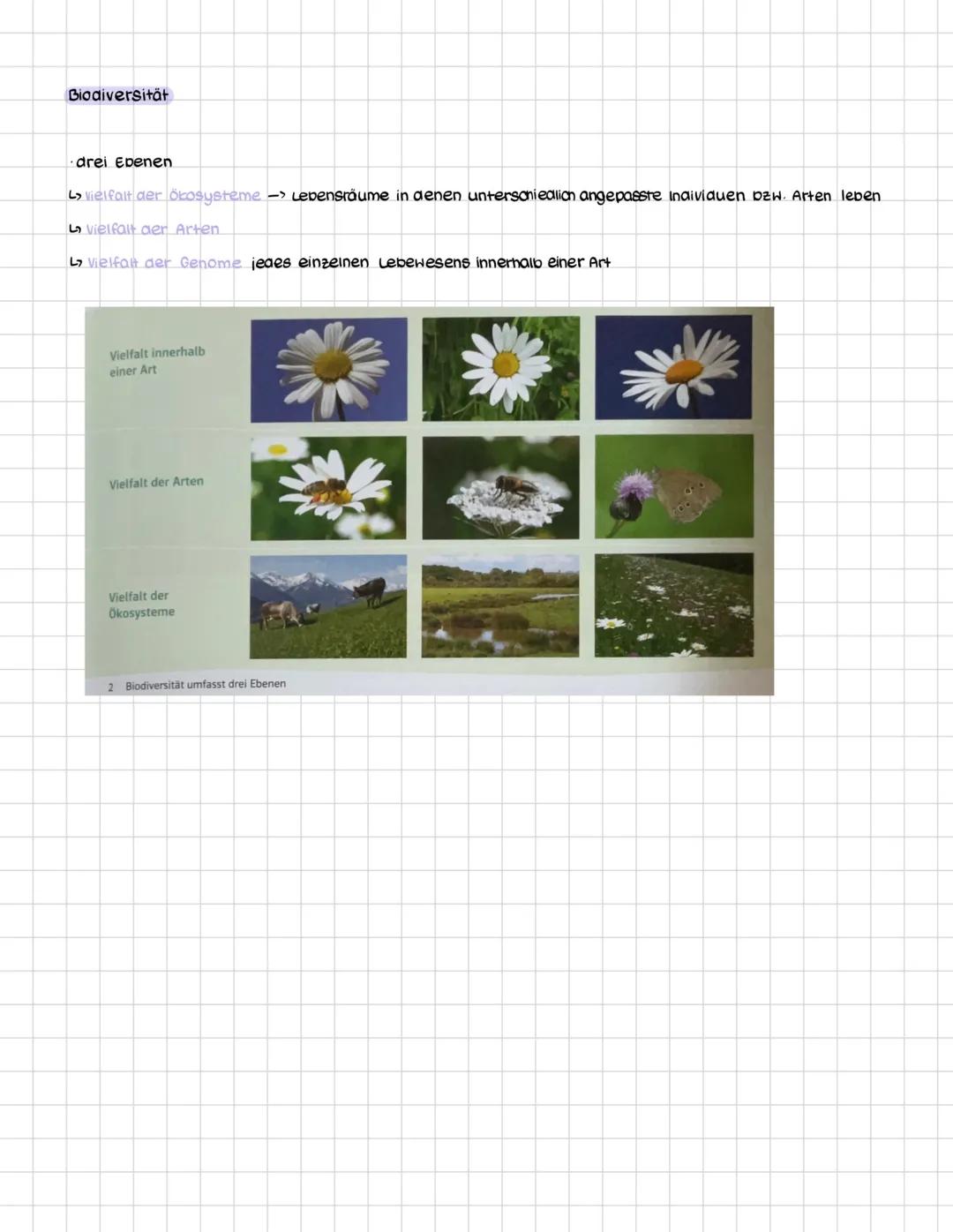 # EVOLUTION
Definition
Die Evolution ist in der Biologie die genetische und daraus resultierende phänotypische,
also sichtbare, Veränderun