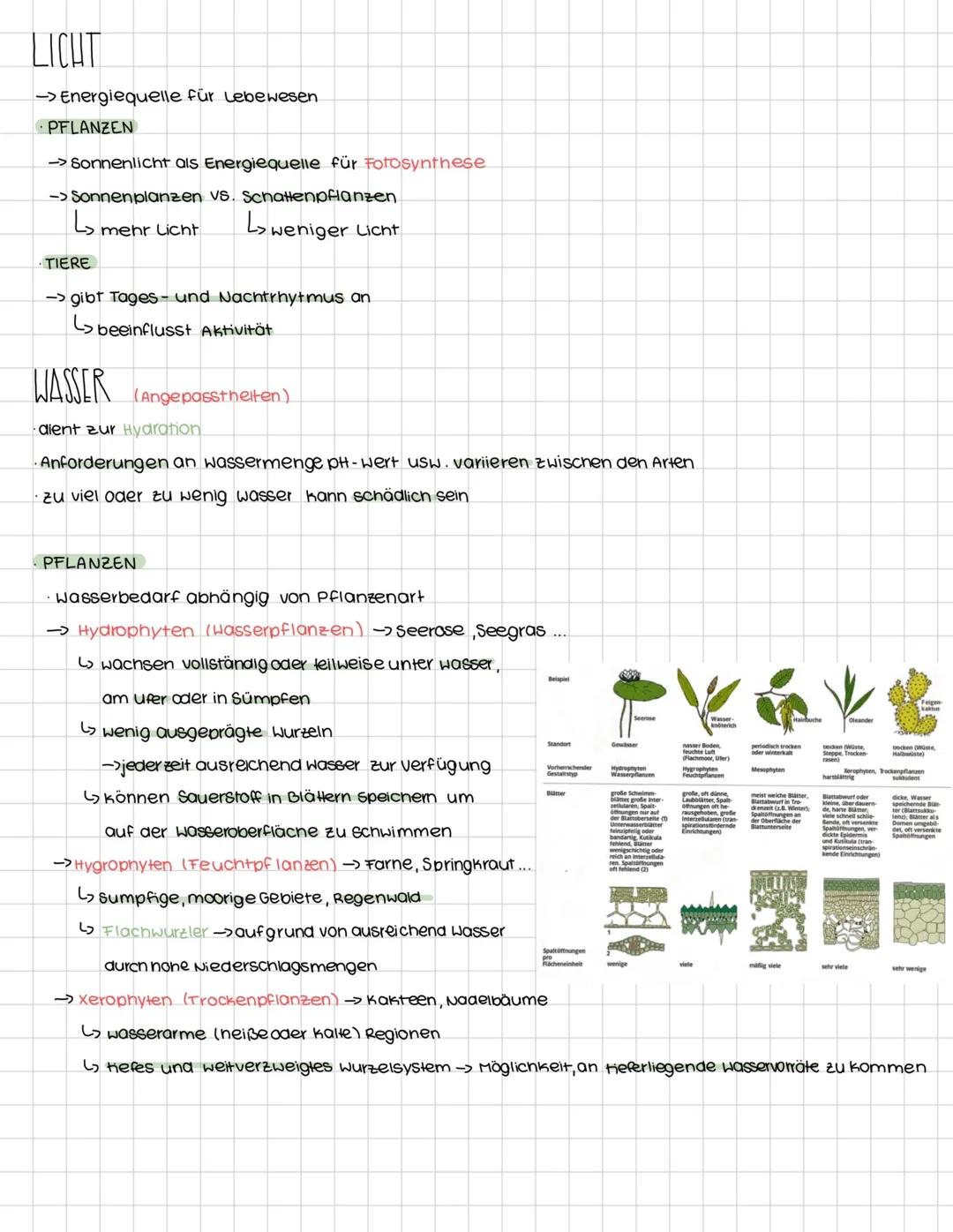 # GRUNDBEGRIFFE DER ÖKOLOGIE
# ÖKOLOGIE
Die Ökologie ist ein Teilgebiet der Biologie. Sie beschäftigt sich mit
Ökologischen Aspekten, wie a