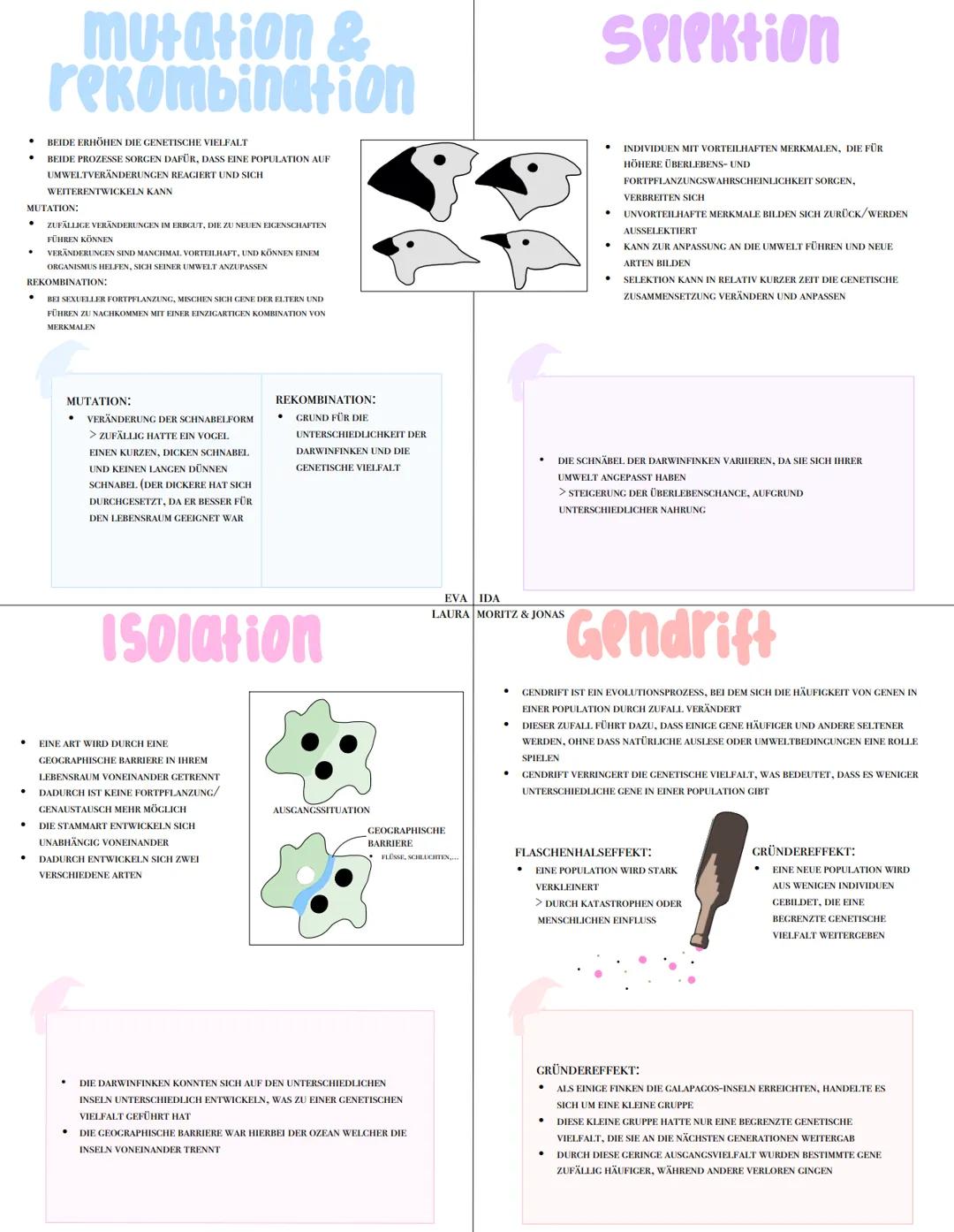 # mutation & rekombination
* BEIDE ERHÖHEN DIE GENETISCHE VIELFALT
* BEIDE PROZESSE SORGEN DAFÜR, DASS EINE POPULATION AUF UMWELTVERÄNDERUN
