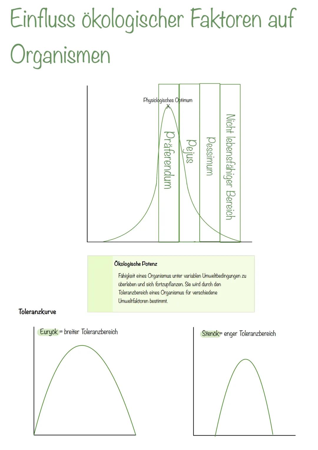 --- OCR Start ---
Ökologie
Ökologie - Die Wissenschaft von den Wechselbeziehungen
zischen Organismen untereinander und mit ihrer Umwelt die