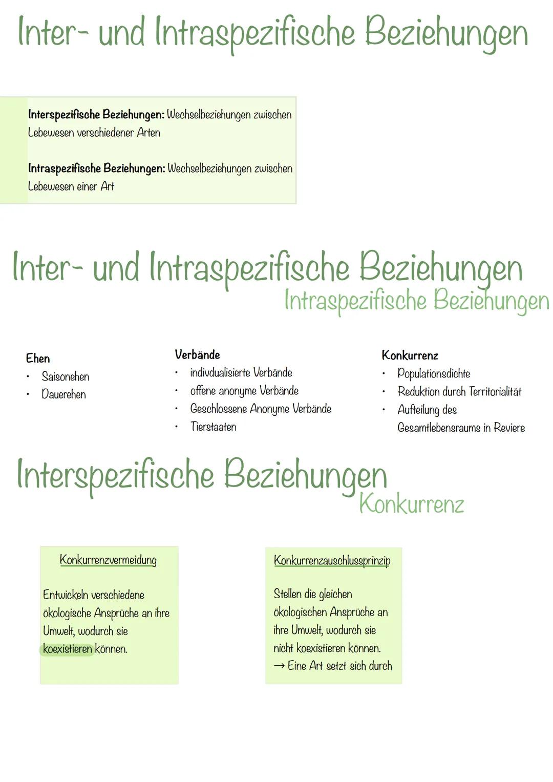 --- OCR Start ---
Ökologie
Ökologie - Die Wissenschaft von den Wechselbeziehungen
zischen Organismen untereinander und mit ihrer Umwelt die