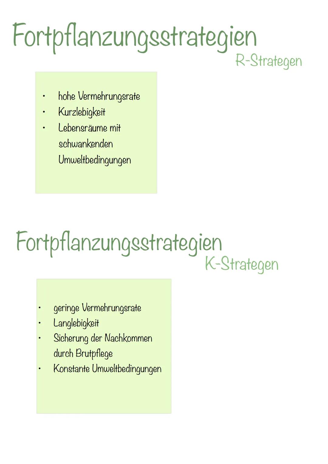 --- OCR Start ---
Ökologie
Ökologie - Die Wissenschaft von den Wechselbeziehungen
zischen Organismen untereinander und mit ihrer Umwelt die