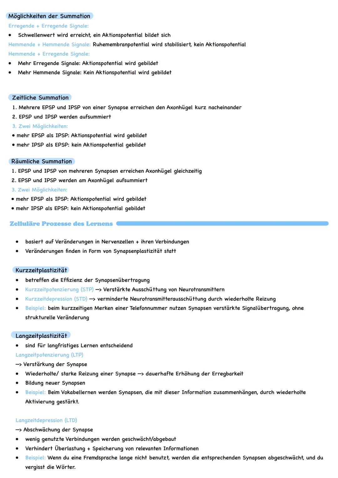 Inhaltsbereich: Informationsverarbeitung von Lebewesen
Grundlagen der Informationsverarbeitung
Nervenzelle
Bau einer Nervenzelle
Neurit
Dend