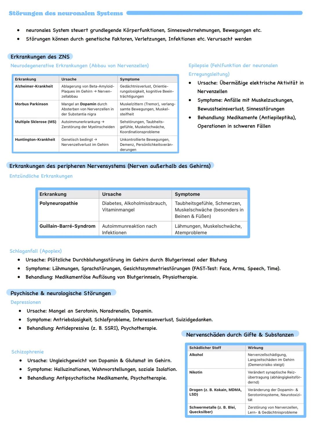 Inhaltsbereich: Informationsverarbeitung von Lebewesen
Grundlagen der Informationsverarbeitung
Nervenzelle
Bau einer Nervenzelle
Neurit
Dend