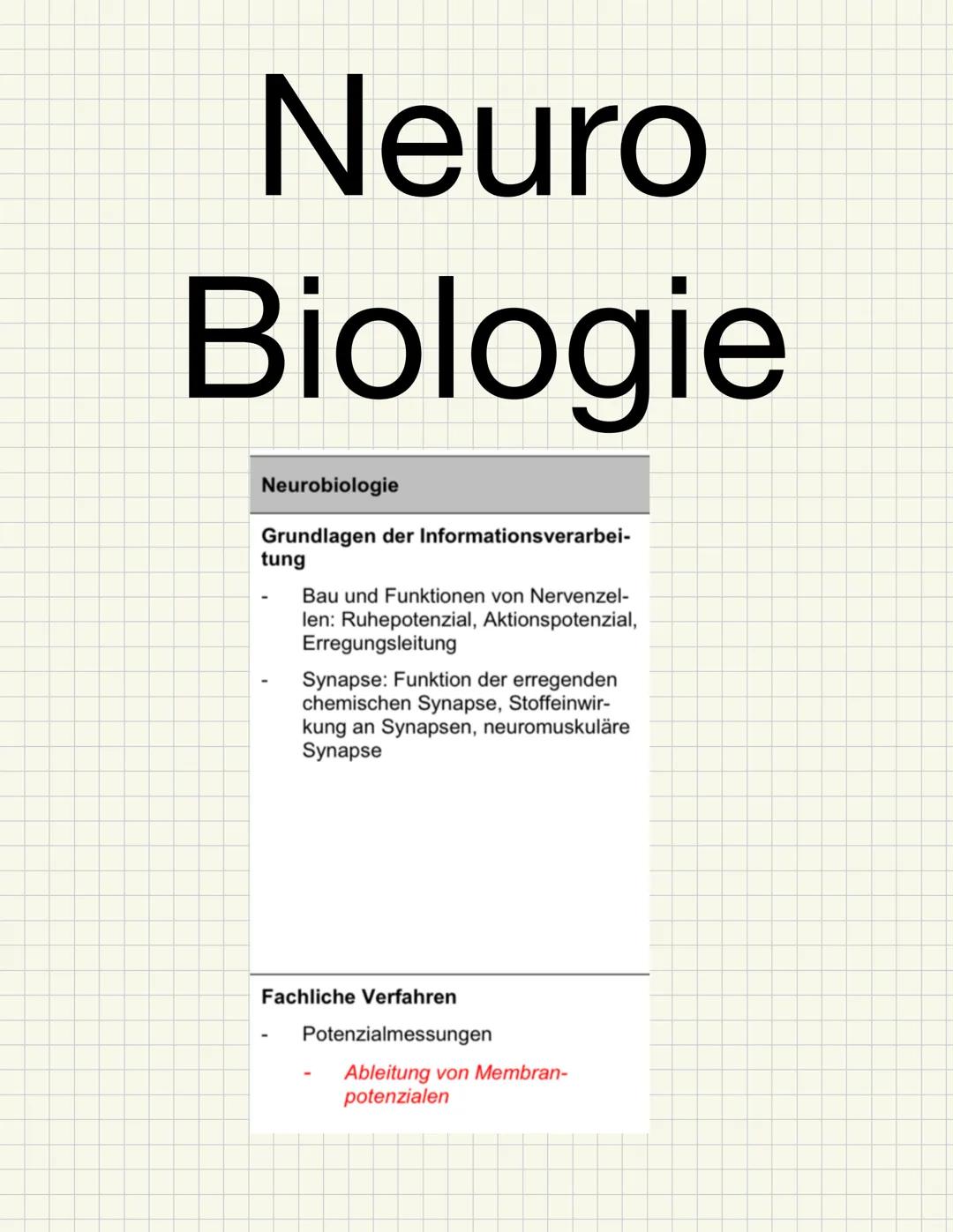 Basiskonzepte der Biologie
Struktur und Funktion
Bestimmte Strukturen haben gleiche oder ähnliche Funktionen, auch in unterschiedlichsten Ti