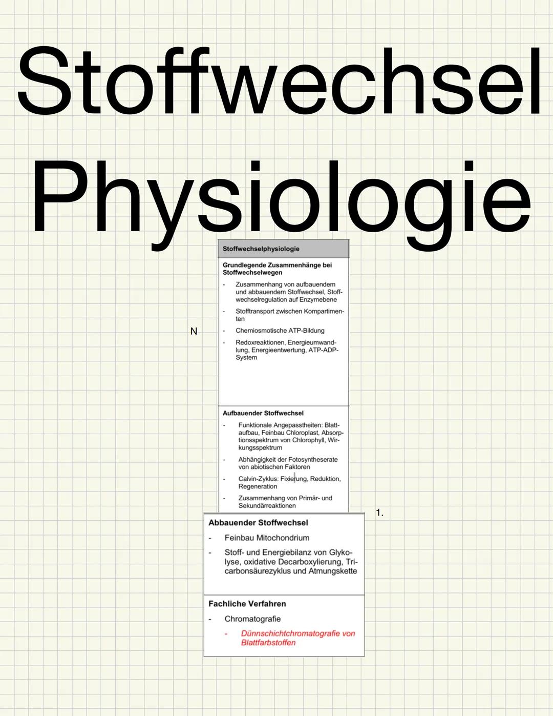 Basiskonzepte der Biologie
Struktur und Funktion
Bestimmte Strukturen haben gleiche oder ähnliche Funktionen, auch in unterschiedlichsten Ti