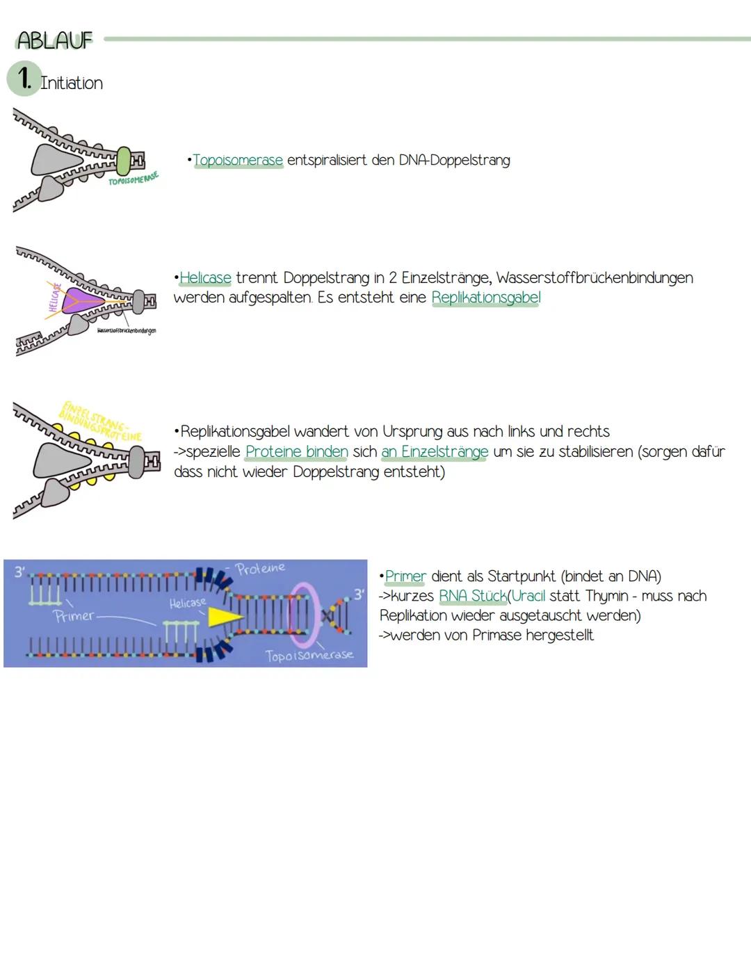 genetik
>Bau der DNA
>RNA (mRNA, tRNA, rRNA)
>semi-konservative Replikation
>Proteinbiosynthese (Transkription/Translation)
>Genregulation P