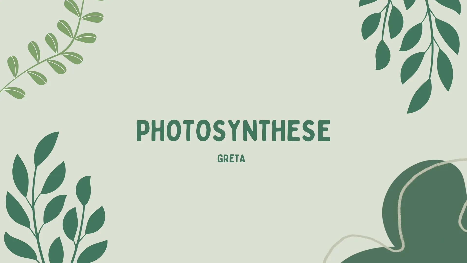 # PHOTOSYNTHESE
GRETA 1
GLIEDERUNG
7
WAS IST
PHOTOSYNTHESE?
LICHTABSORPATION
2
ZUSAMMENHANG:
ZELLENATMUNG UND
PHOTOSYNTHESE
3
4-5
6
DER ORT