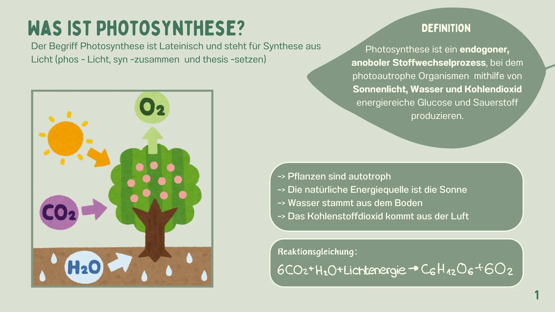 # PHOTOSYNTHESE
GRETA 1
GLIEDERUNG
7
WAS IST
PHOTOSYNTHESE?
LICHTABSORPATION
2
ZUSAMMENHANG:
ZELLENATMUNG UND
PHOTOSYNTHESE
3
4-5
6
DER ORT