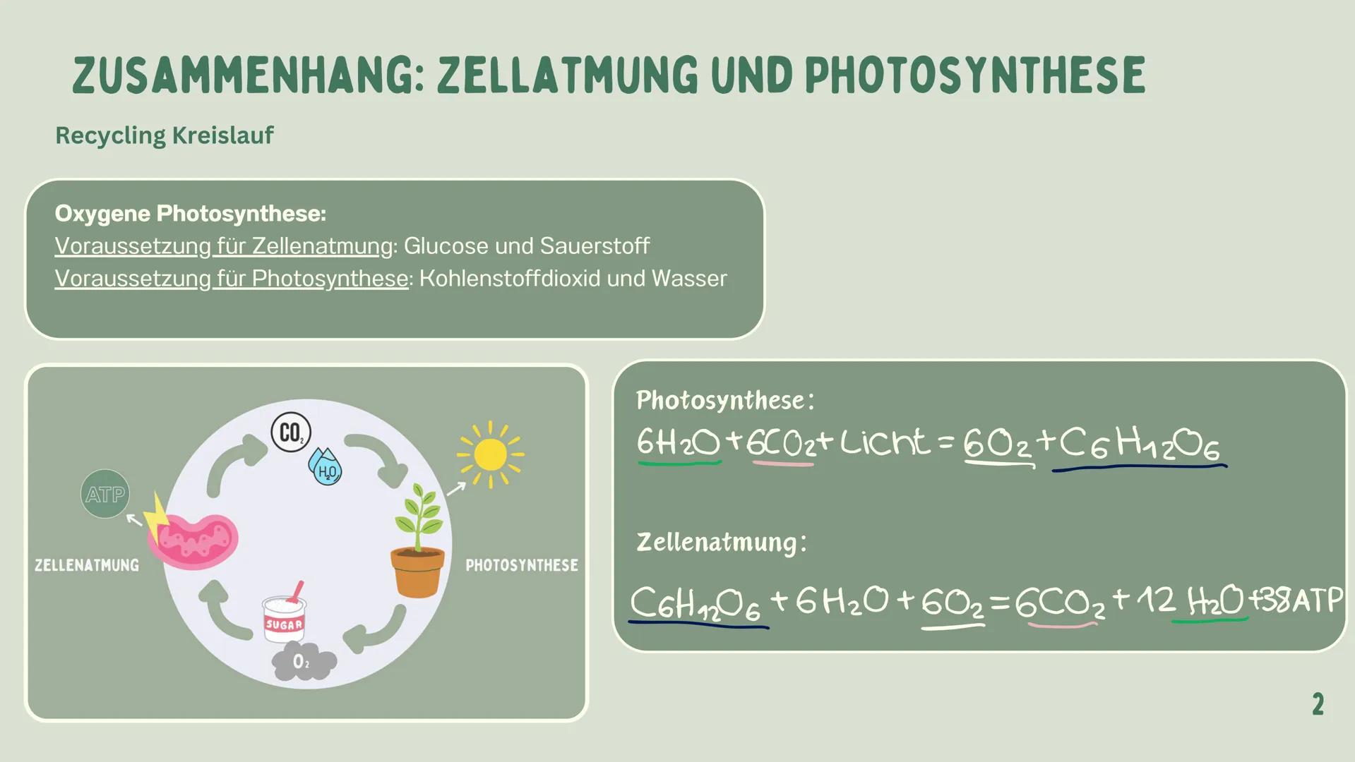 # PHOTOSYNTHESE
GRETA 1
GLIEDERUNG
7
WAS IST
PHOTOSYNTHESE?
LICHTABSORPATION
2
ZUSAMMENHANG:
ZELLENATMUNG UND
PHOTOSYNTHESE
3
4-5
6
DER ORT