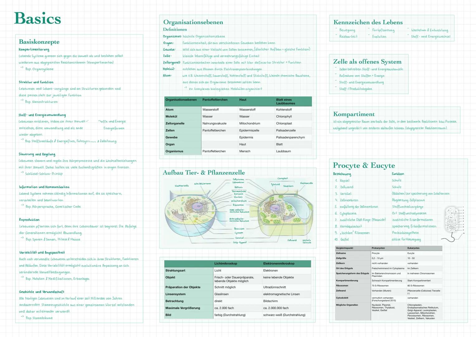 ## Basics
### Basiskonzepte
**Kompartimentierung**
Lebende Systeme grenzen sich gegen die Umwelt ab und bestehen selbst
wiederum aus abgeg
