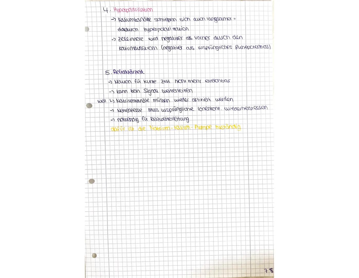 AKTIONSPOTENZIAL-Übersicht
A Runepotenzial.
Potenzial negativ (-70 mv)
Innen hohe konz. an kt
und A (anorganischen lonen)
Außen hone konz an
