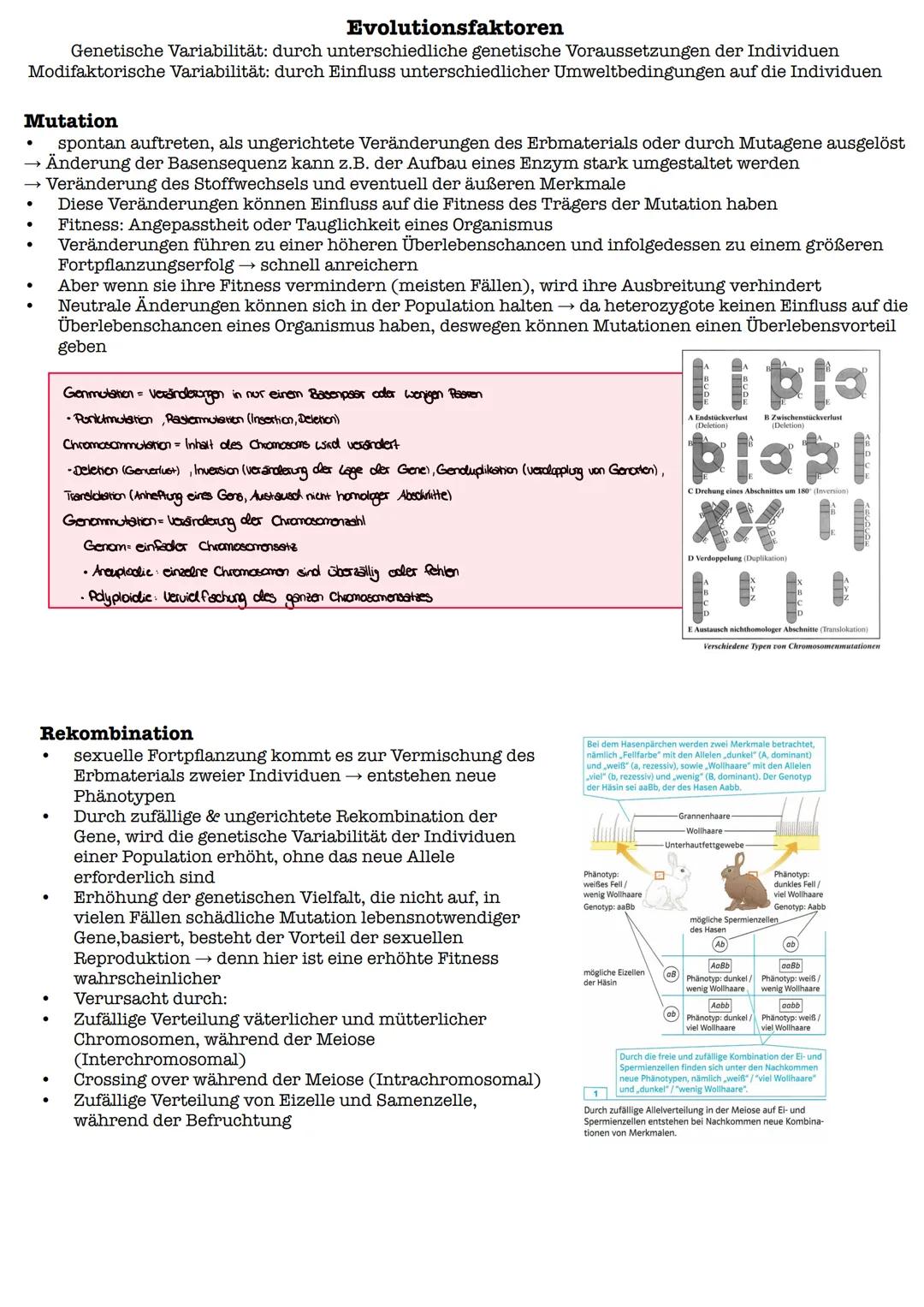 Vergleich beider Theorien
Lamarck
Darwin
Gemeinsamkeiten:
Artwandel
Artwandel
Unterschiede:
Sie löst beim Individuum innere
Sie wählt aus de