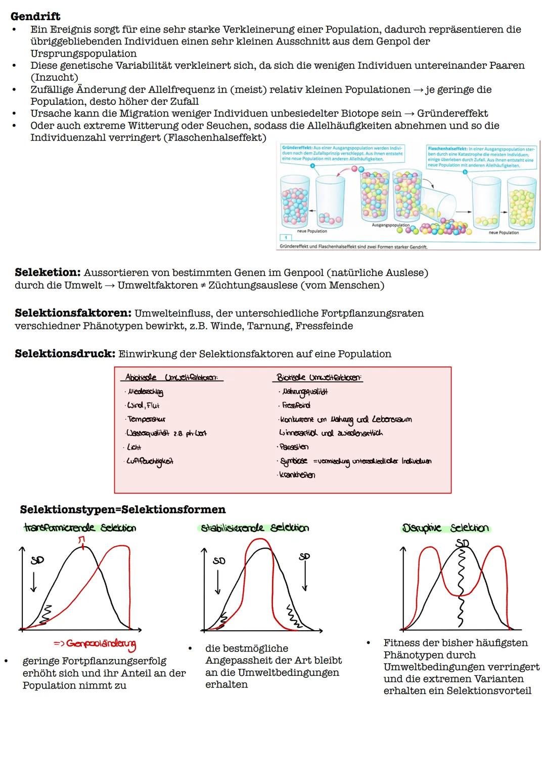 Vergleich beider Theorien
Lamarck
Darwin
Gemeinsamkeiten:
Artwandel
Artwandel
Unterschiede:
Sie löst beim Individuum innere
Sie wählt aus de