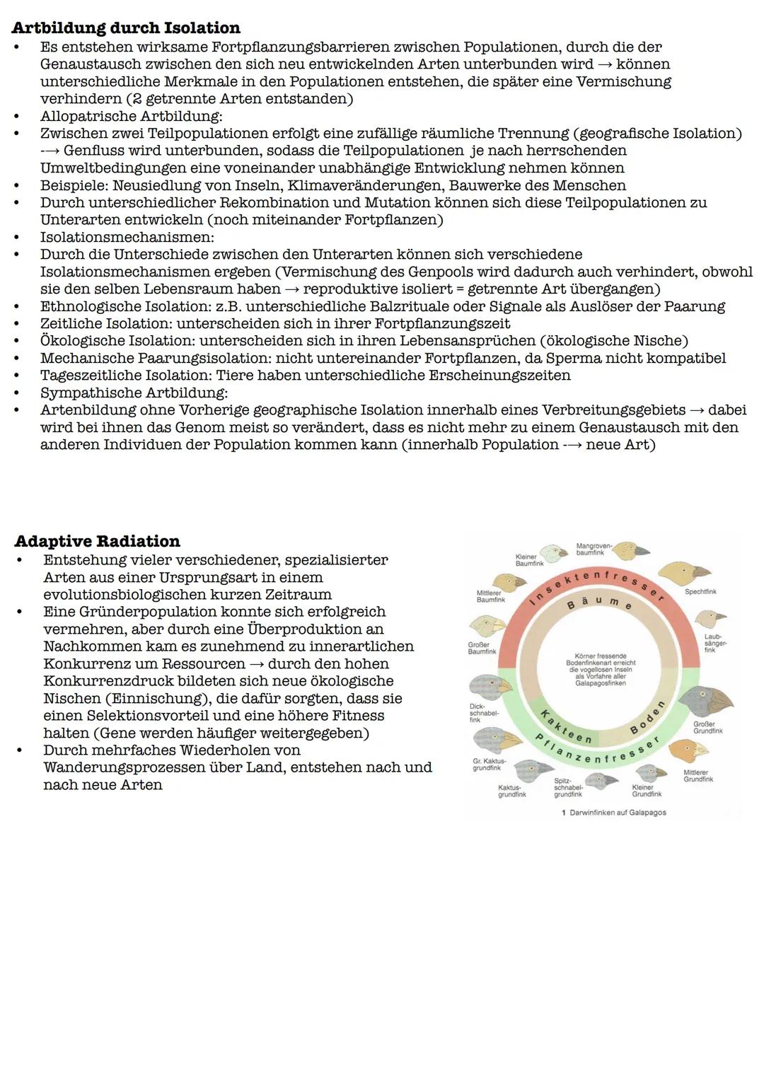 Vergleich beider Theorien
Lamarck
Darwin
Gemeinsamkeiten:
Artwandel
Artwandel
Unterschiede:
Sie löst beim Individuum innere
Sie wählt aus de