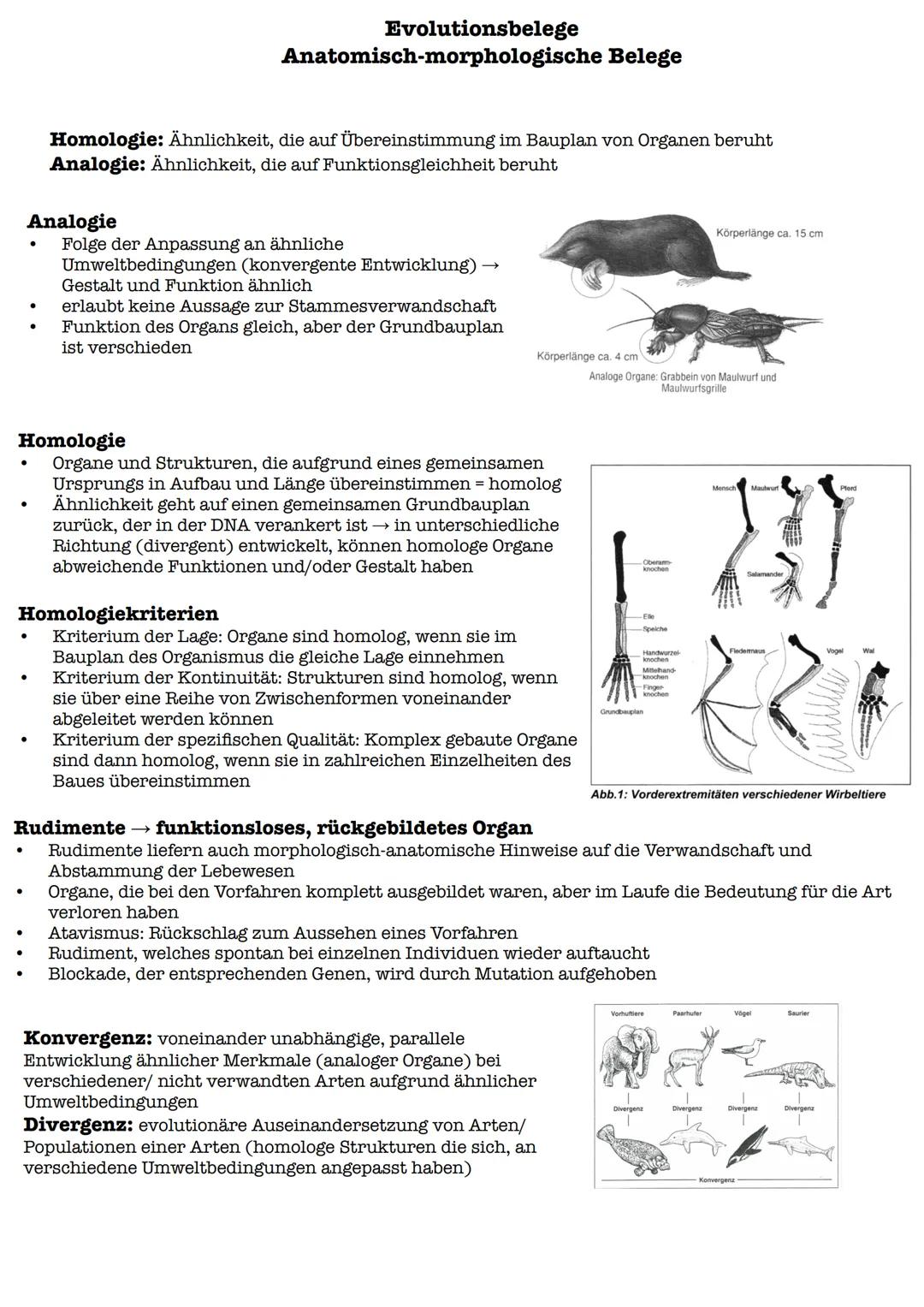 Vergleich beider Theorien
Lamarck
Darwin
Gemeinsamkeiten:
Artwandel
Artwandel
Unterschiede:
Sie löst beim Individuum innere
Sie wählt aus de