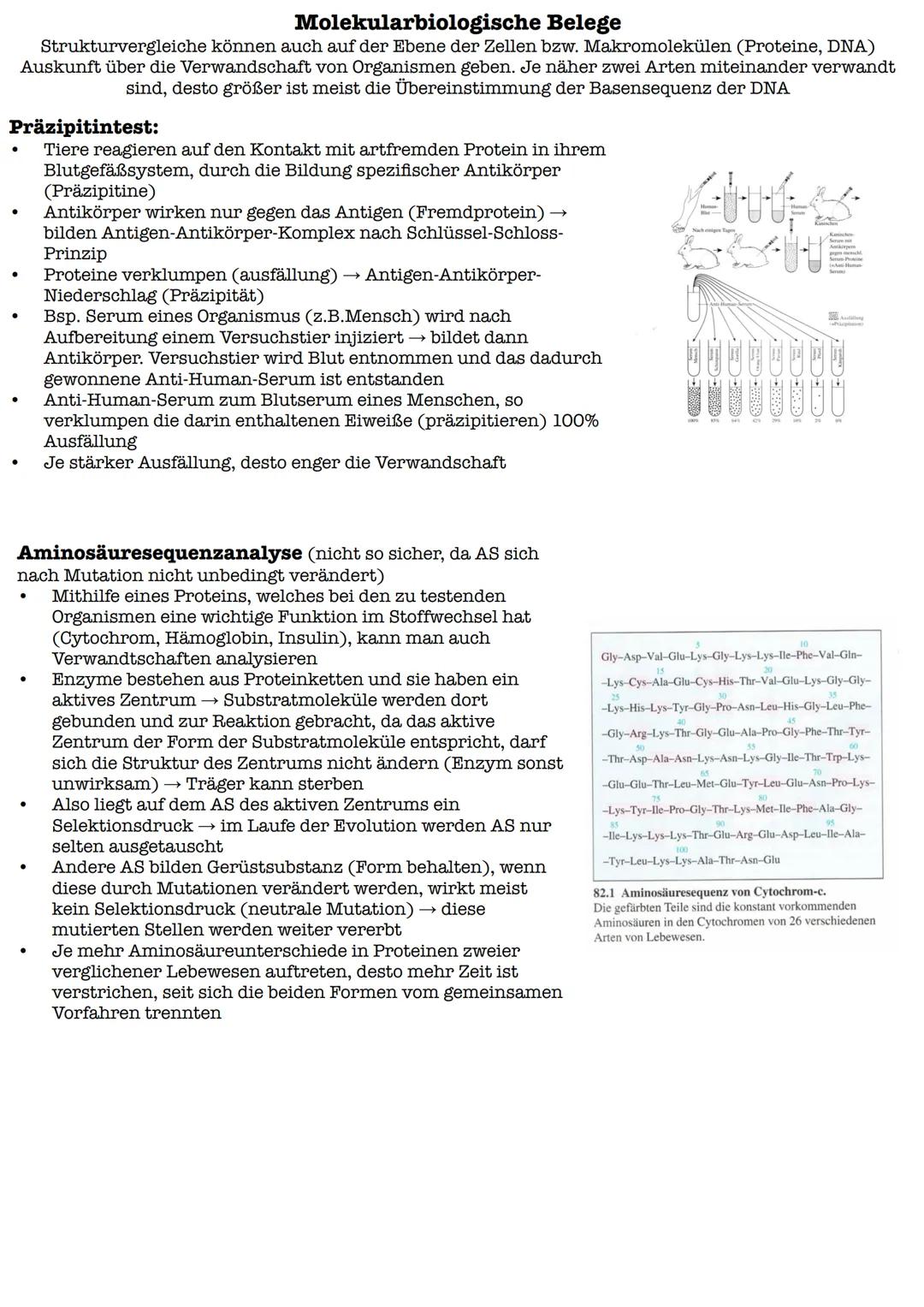 Vergleich beider Theorien
Lamarck
Darwin
Gemeinsamkeiten:
Artwandel
Artwandel
Unterschiede:
Sie löst beim Individuum innere
Sie wählt aus de