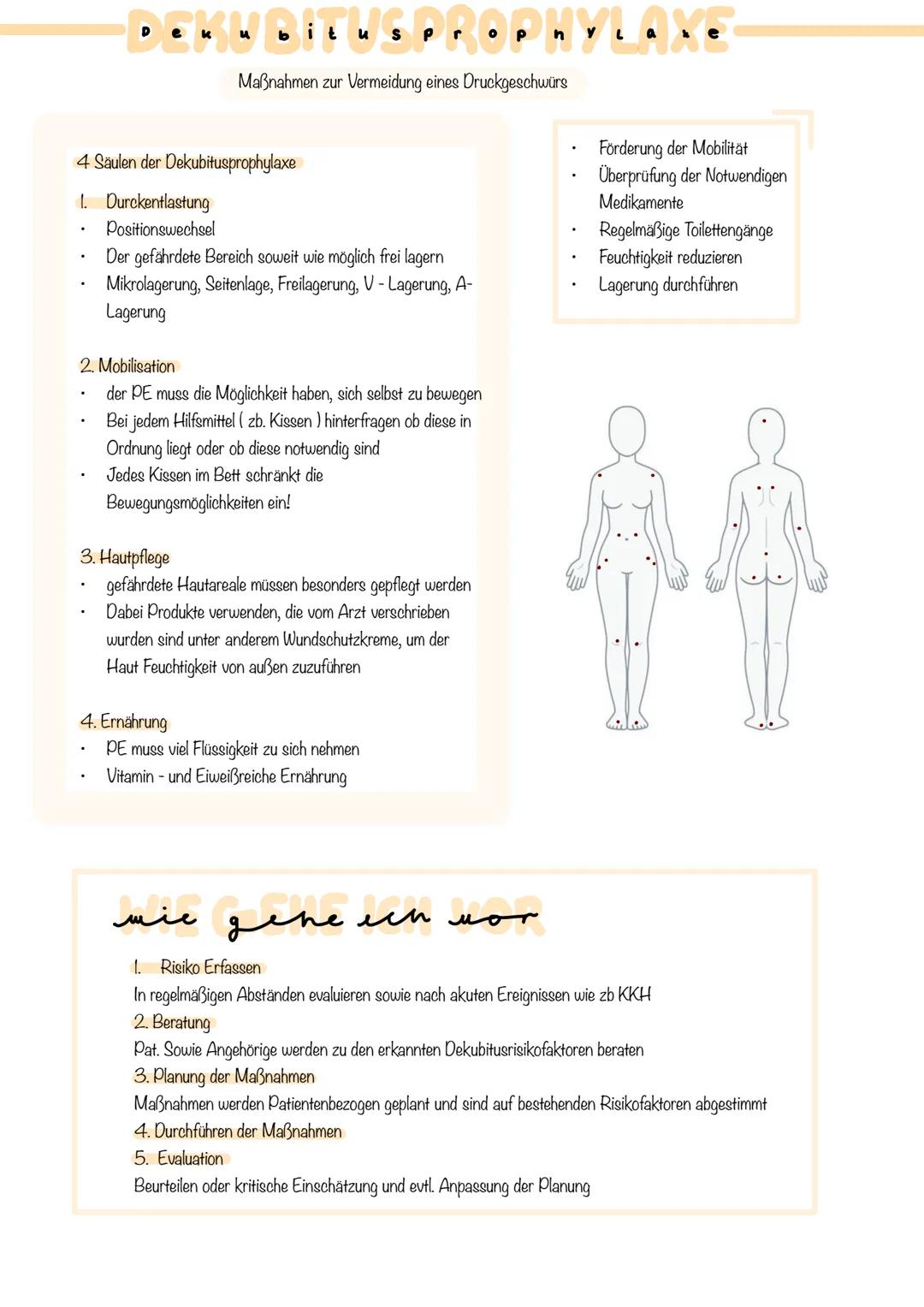 --- OCR Start ---
Pneumoniepr
opnyl axe
onylaxe
LISA - Prinzip
Lungenbelüftung verbessern
Mobilation: Regelmäßige Mobilisation fördert die
L