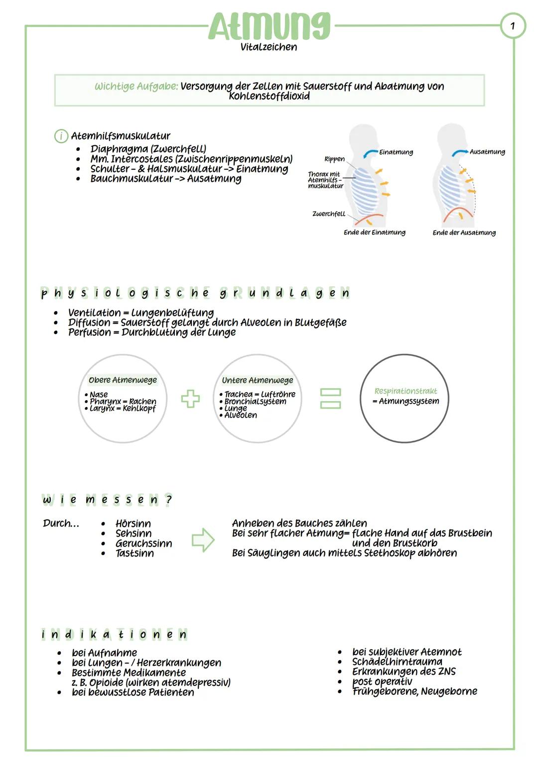 -Atmung
Vitalzeichen
Wichtige Aufgabe: Versorgung der Zellen mit Sauerstoff und Abatmung von
Kohlenstoffdioxid
Einatmung
Ausatmung
Rippen
At