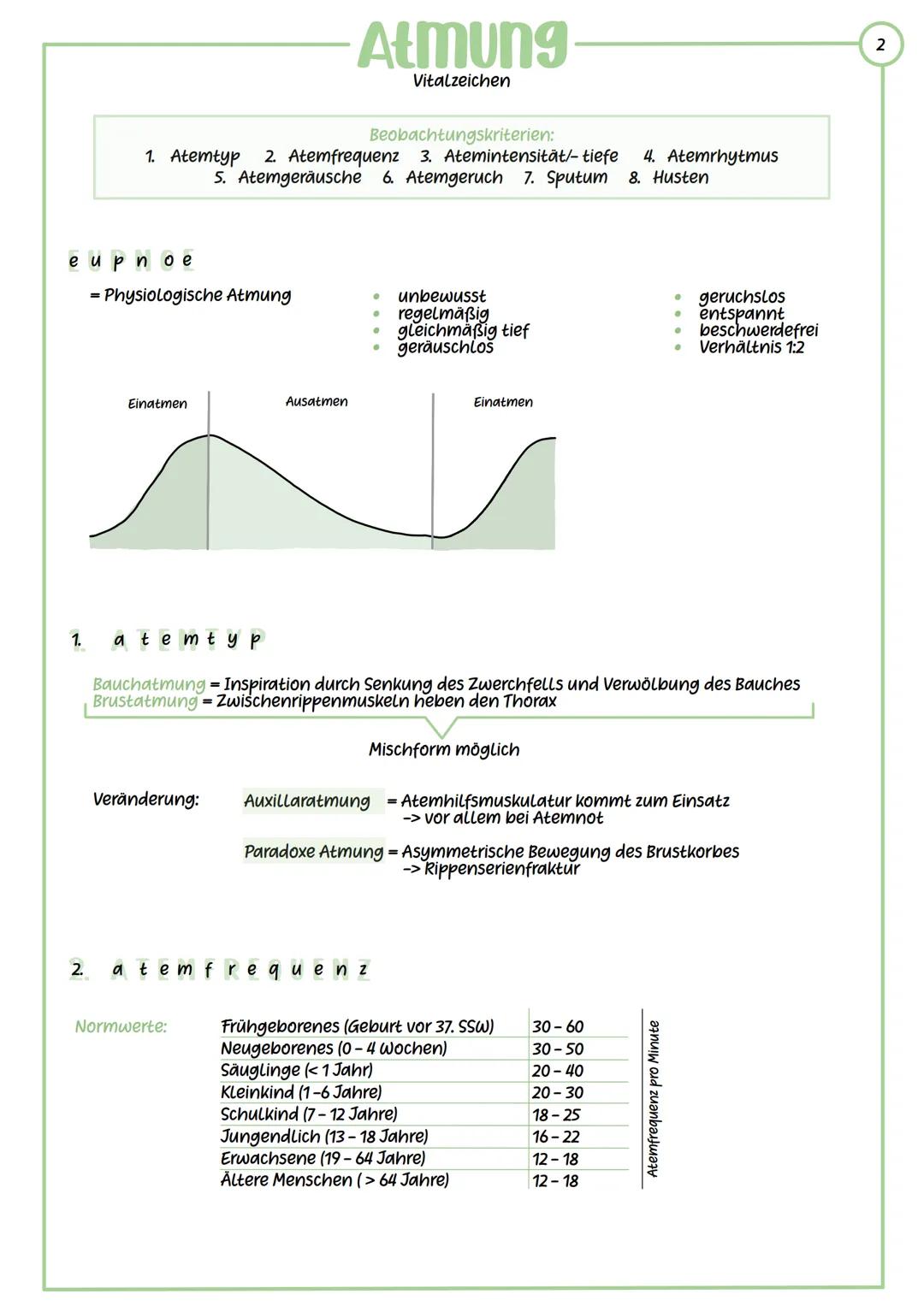 -Atmung
Vitalzeichen
Wichtige Aufgabe: Versorgung der Zellen mit Sauerstoff und Abatmung von
Kohlenstoffdioxid
Einatmung
Ausatmung
Rippen
At
