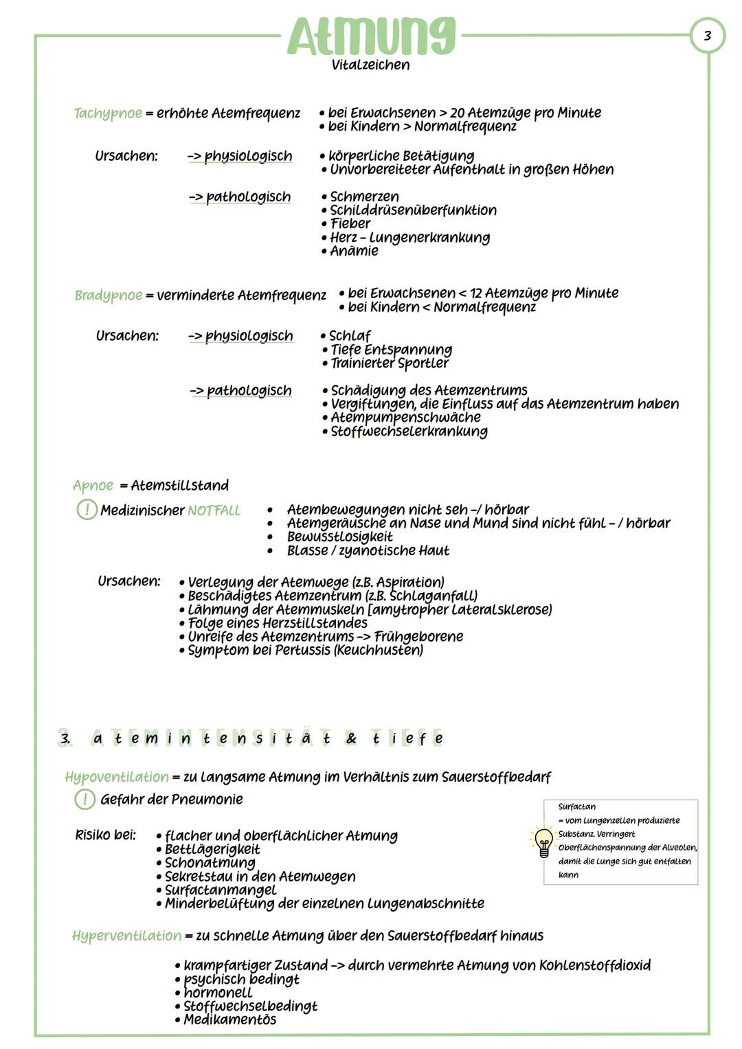 -Atmung
Vitalzeichen
Wichtige Aufgabe: Versorgung der Zellen mit Sauerstoff und Abatmung von
Kohlenstoffdioxid
Einatmung
Ausatmung
Rippen
At