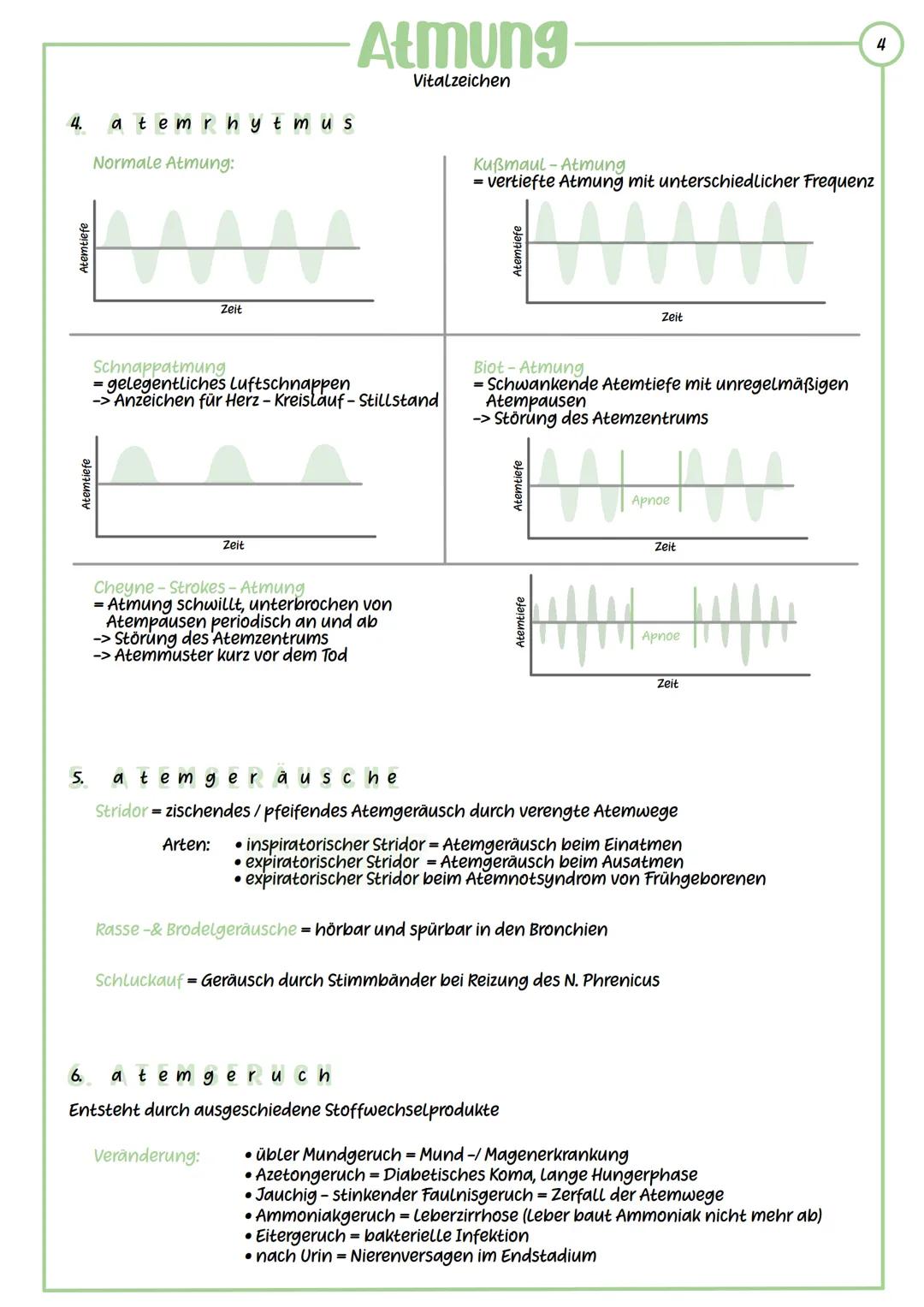-Atmung
Vitalzeichen
Wichtige Aufgabe: Versorgung der Zellen mit Sauerstoff und Abatmung von
Kohlenstoffdioxid
Einatmung
Ausatmung
Rippen
At