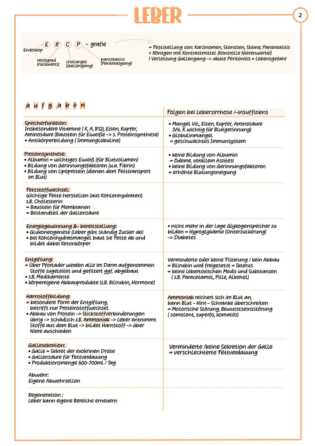 --- OCR Start ---
LEBER
Definiton: Die Leber ist das größte und wichtigste Stoffwechselorgan und die größte
Verdauungsdrüse des menschlichen