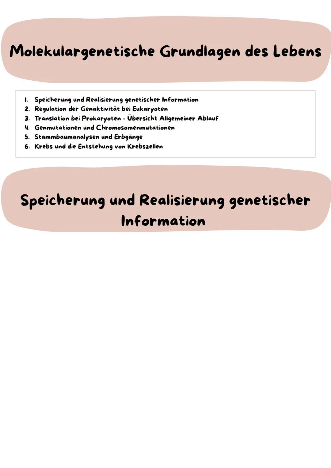 Molekulargenetische Grundlagen des Lebens
1. Speicherung und Realisierung genetischer Information
2. Regulation der Genaktivität bei Eukaryo