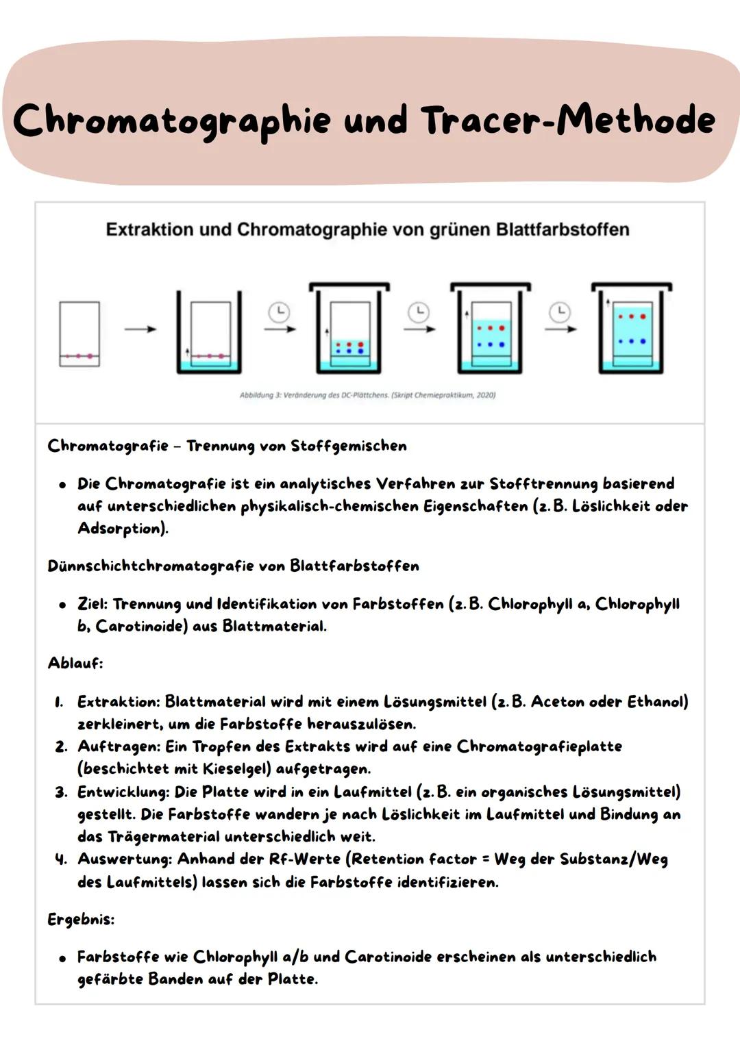 Chromatographie und Tracer-Methode
Extraktion und Chromatographie von grünen Blattfarbstoffen
Abbildung 3: Veränderung des DC-Plattchens (Sk