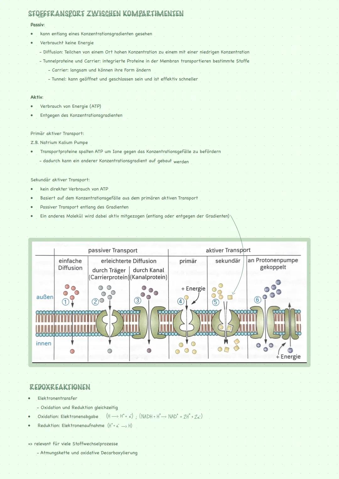 --- OCR Start ---
STOFFWECHSEL GENERELL
STOFFWECHSELREGULATIONEN AUF ENZYMEBENE:
Basiskonzenpt:
Enzyme sind meistens Proteine
Enzyme gehen u