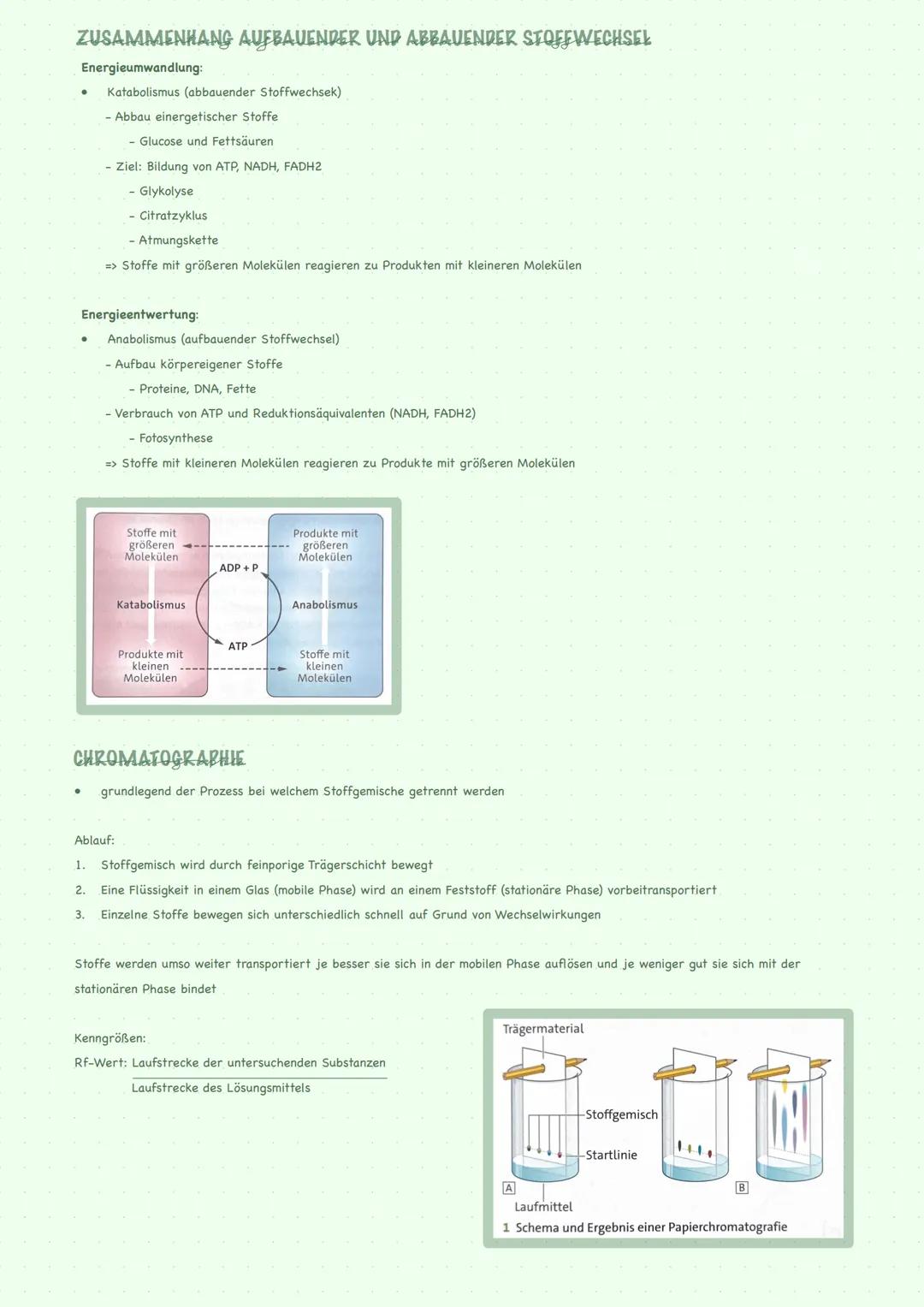 --- OCR Start ---
STOFFWECHSEL GENERELL
STOFFWECHSELREGULATIONEN AUF ENZYMEBENE:
Basiskonzenpt:
Enzyme sind meistens Proteine
Enzyme gehen u
