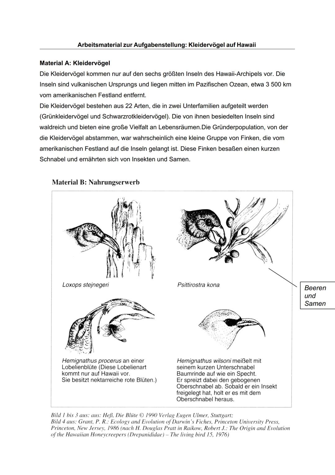 Fachprüferin:
Pohl
Datum: 16.05.24
Mündliche Abiturprüfung 2024
4. Fach: Biologie Grundkurs
Aufgabenstellung zum 1. Prüfungsteil: Kleidervög