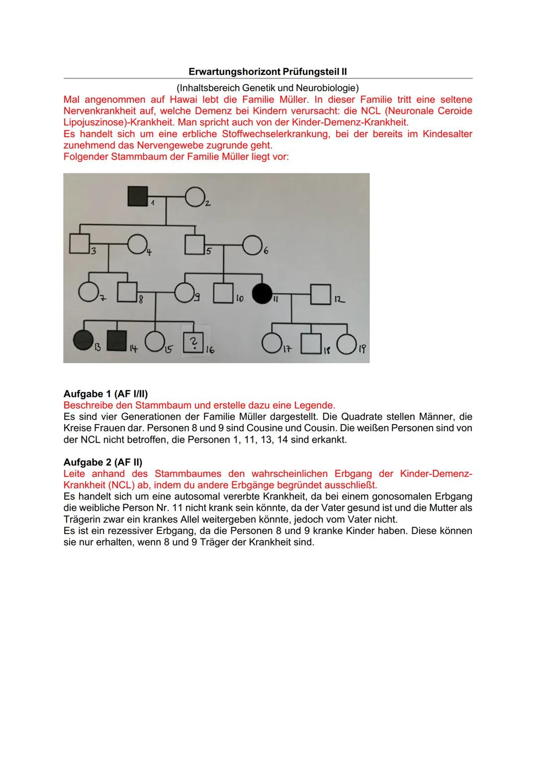 Fachprüferin:
Pohl
Datum: 16.05.24
Mündliche Abiturprüfung 2024
4. Fach: Biologie Grundkurs
Aufgabenstellung zum 1. Prüfungsteil: Kleidervög