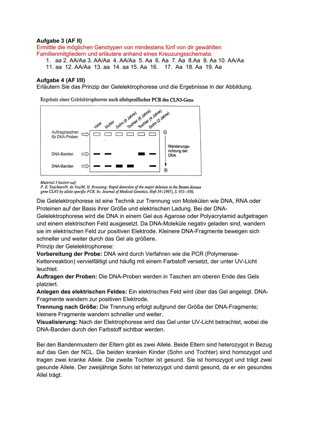 Fachprüferin:
Pohl
Datum: 16.05.24
Mündliche Abiturprüfung 2024
4. Fach: Biologie Grundkurs
Aufgabenstellung zum 1. Prüfungsteil: Kleidervög