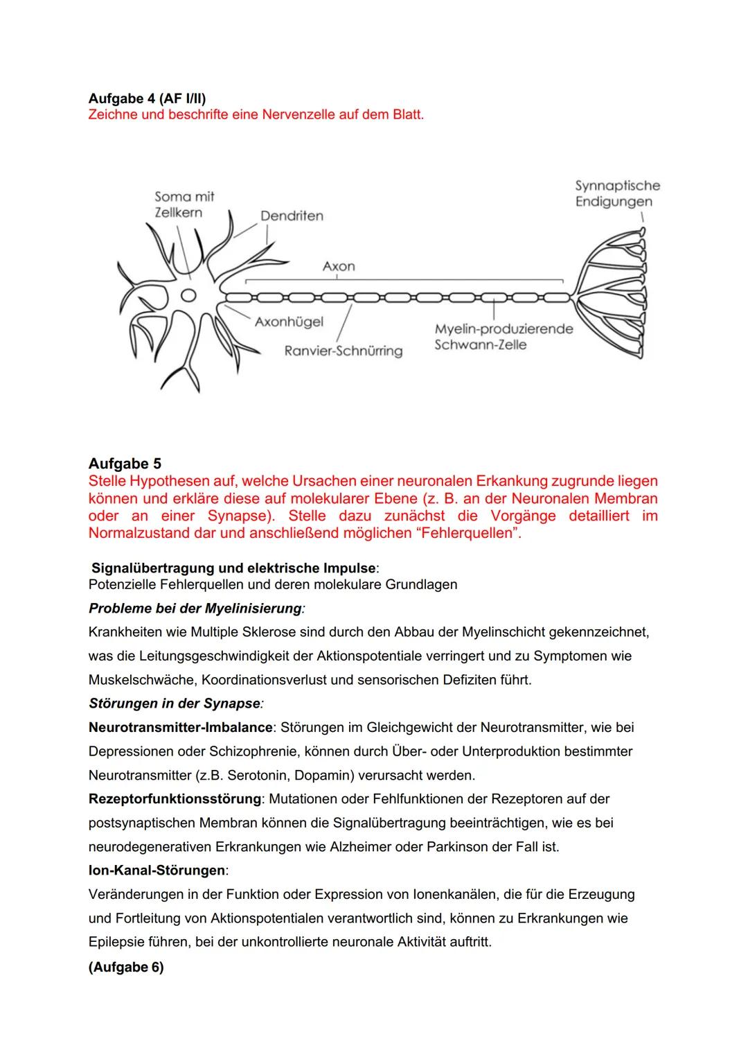 Fachprüferin:
Pohl
Datum: 16.05.24
Mündliche Abiturprüfung 2024
4. Fach: Biologie Grundkurs
Aufgabenstellung zum 1. Prüfungsteil: Kleidervög