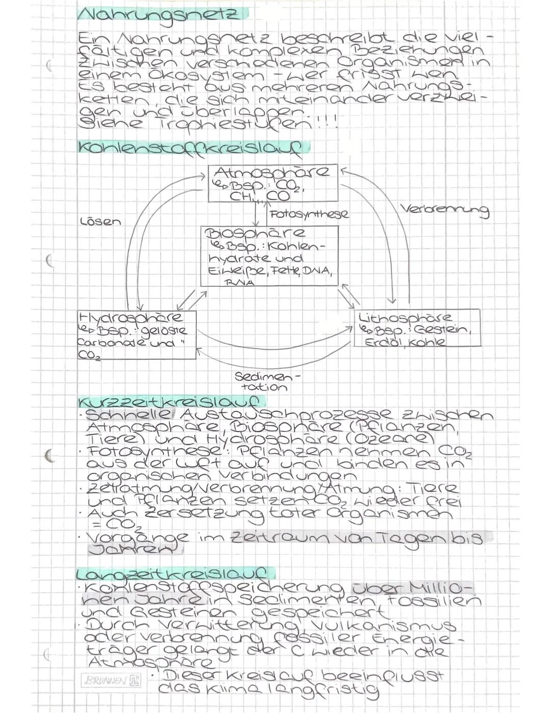 --- OCR Start ---
Biotop & Biozonose
In einem Ökosystem leben viele
Pflanzen- und Tierarten zusammen.
Sie stellen eine Lebensgemein-
schaft