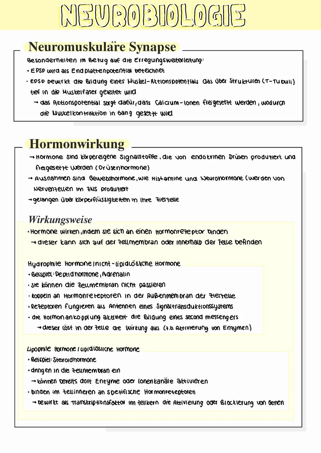 NEUROBIOLOGIE
Bau und Funktion von Nervenzellen
Synapsen
Dendriten
Axon
Axonhügel
Zellkern
Endknopchen
Myelinscheide
Schwansche Zelle
Dendri