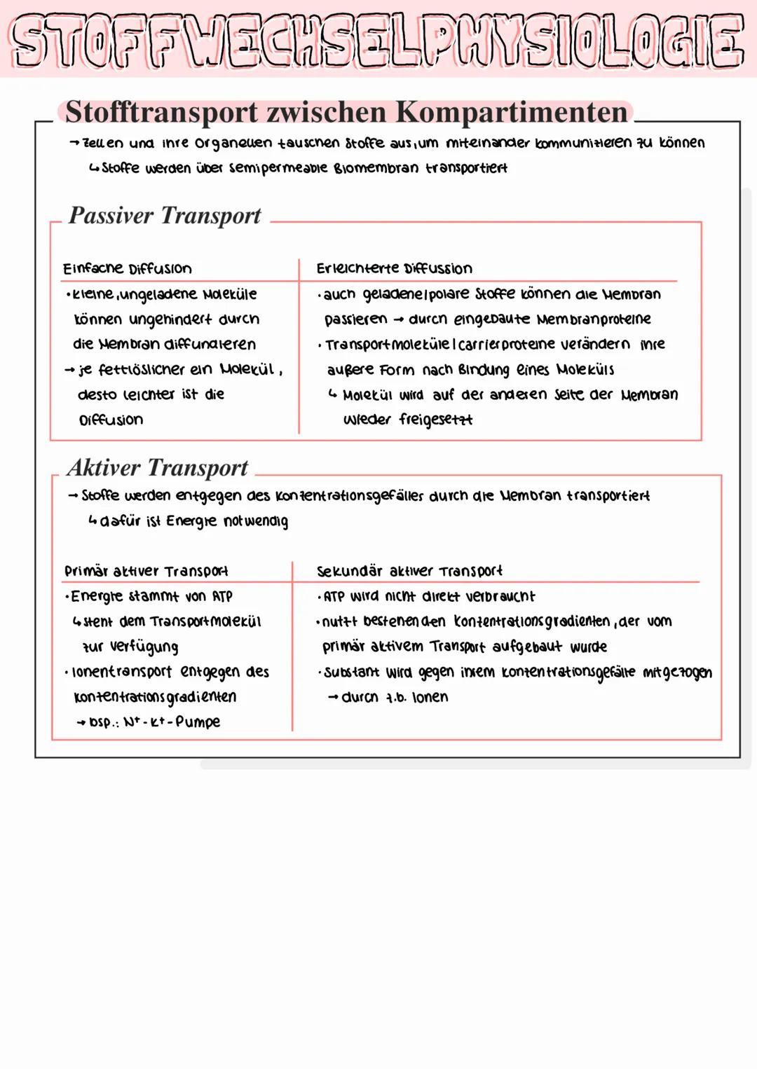 STOFFWECHSELPHYSIOLOGIE
Aufbauender und abbauender Stoffwechsel
•die Gewinnung von Energie durch den Abbau von Glukose Fetten / Proteinen un