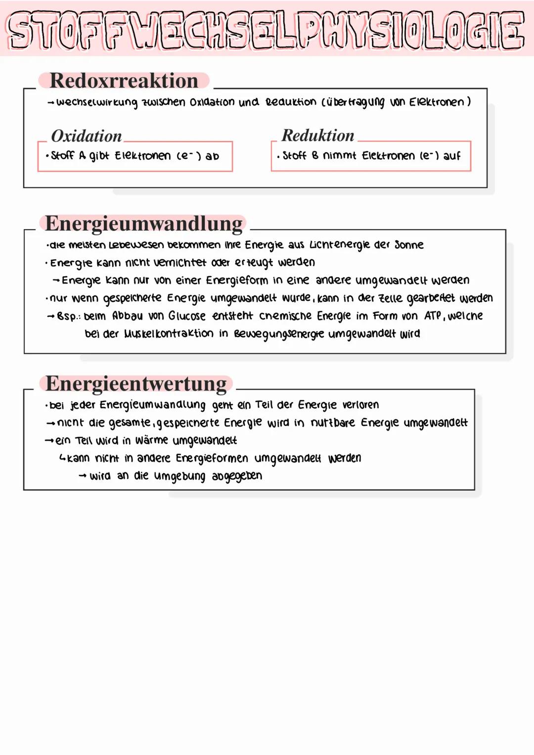 STOFFWECHSELPHYSIOLOGIE
Aufbauender und abbauender Stoffwechsel
•die Gewinnung von Energie durch den Abbau von Glukose Fetten / Proteinen un