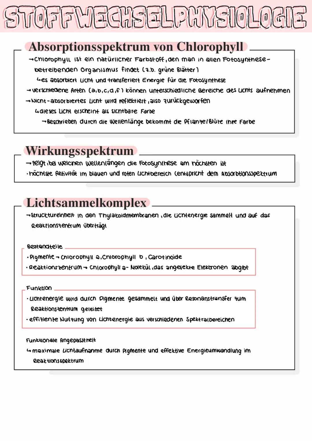 STOFFWECHSELPHYSIOLOGIE
Aufbauender und abbauender Stoffwechsel
•die Gewinnung von Energie durch den Abbau von Glukose Fetten / Proteinen un