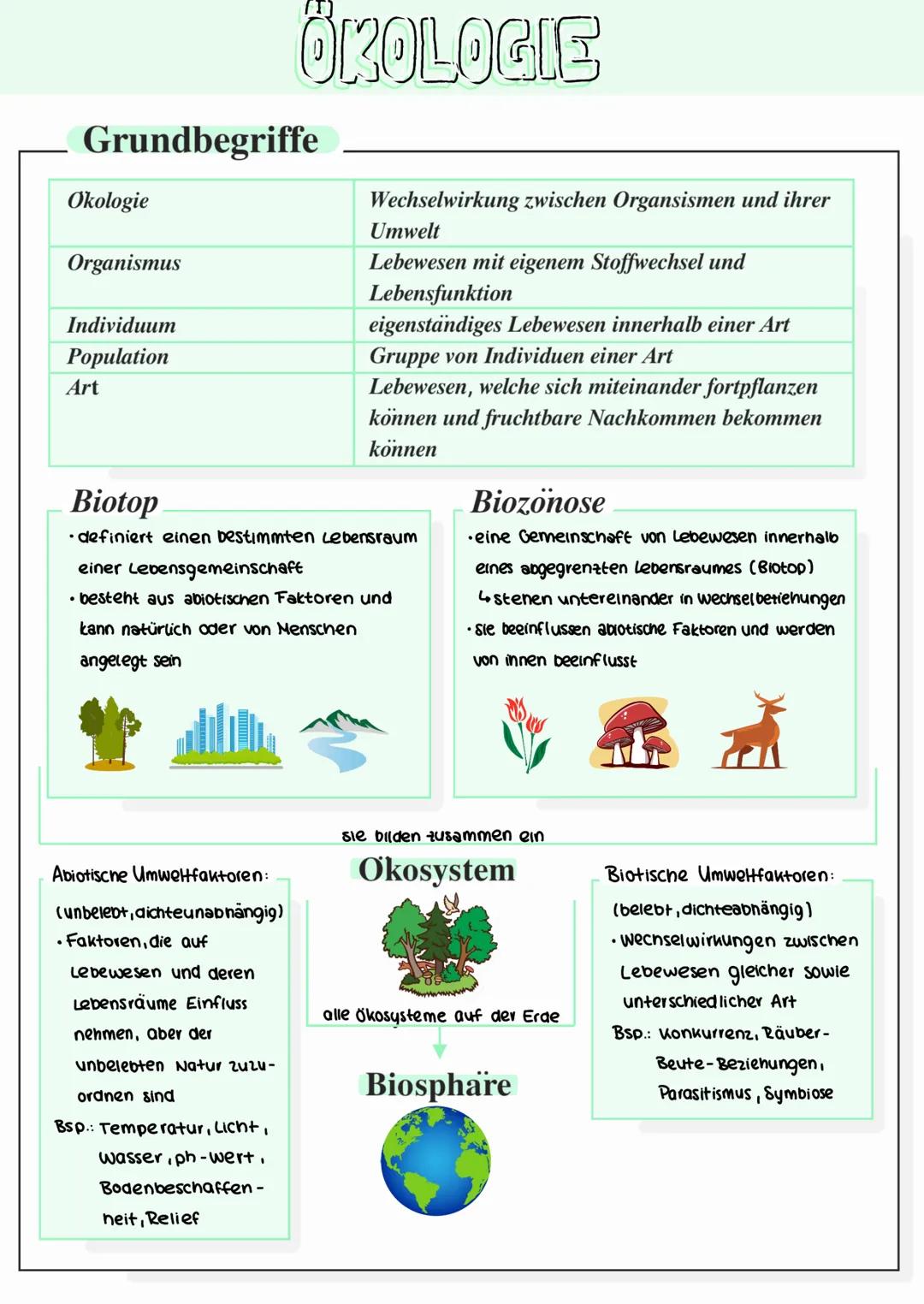 --- OCR Start ---
ÖKOLOGIE
Grundbegriffe
Okologie
Organismus
Individuum
Population
Art
Biotop
Wechselwirkung zwischen Organsismen und ihrer