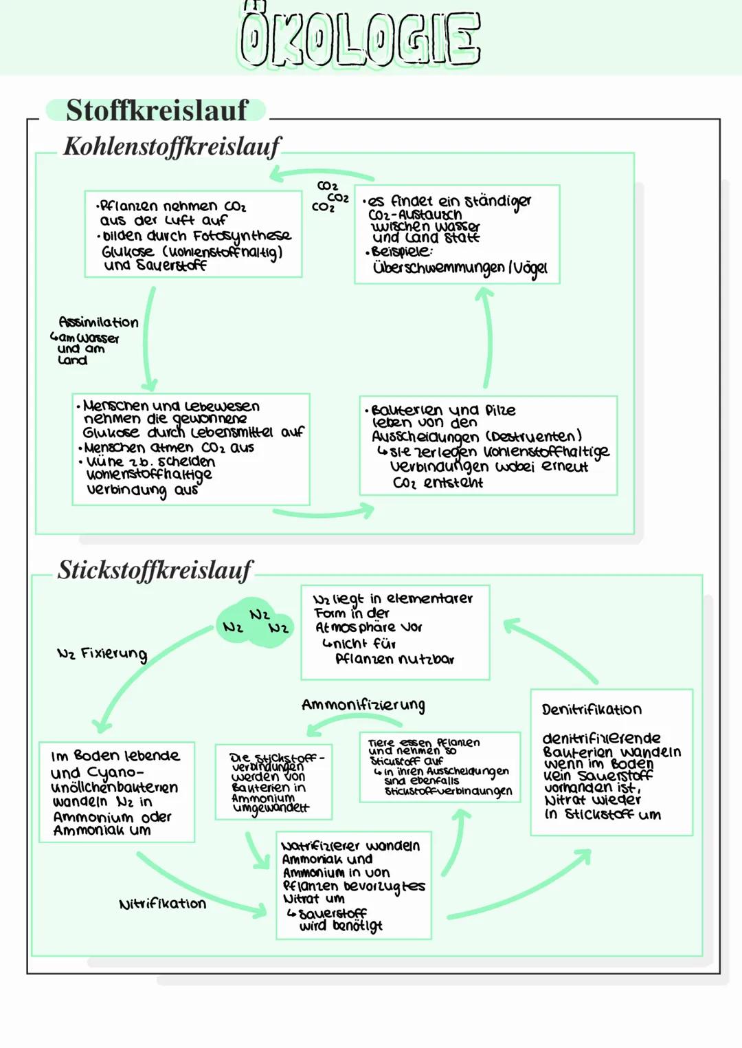 --- OCR Start ---
ÖKOLOGIE
Grundbegriffe
Okologie
Organismus
Individuum
Population
Art
Biotop
Wechselwirkung zwischen Organsismen und ihrer