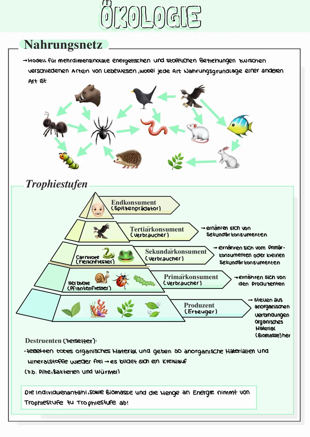 --- OCR Start ---
ÖKOLOGIE
Grundbegriffe
Okologie
Organismus
Individuum
Population
Art
Biotop
Wechselwirkung zwischen Organsismen und ihrer