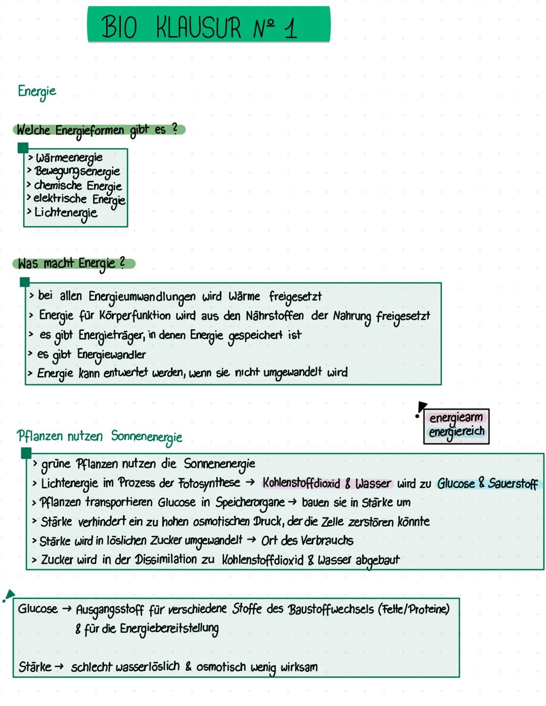 Energie
BIO KLAUSUR Nº 1
Welche Energieformen gibt es?
> Wärmeenergie
> Bewegung senergie
> chemische Energie
> elektrische Energie
> Lichte